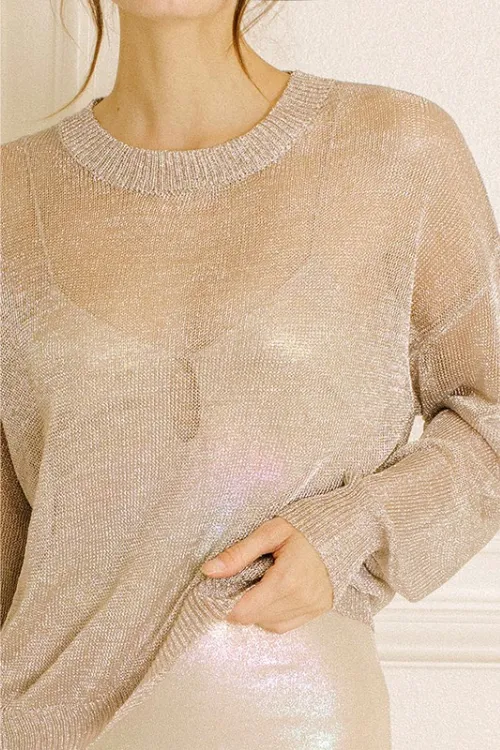 Holly Sheer Metallic Long Sleeve Top - Silver