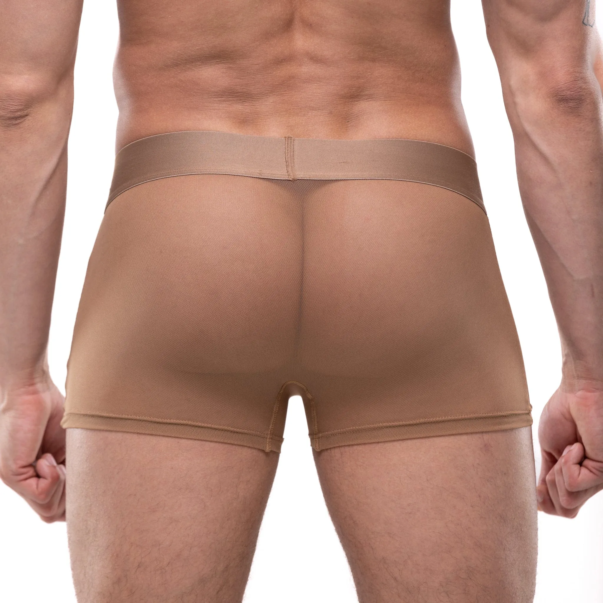 Sheer Mesh Trunk Underwear in Tan