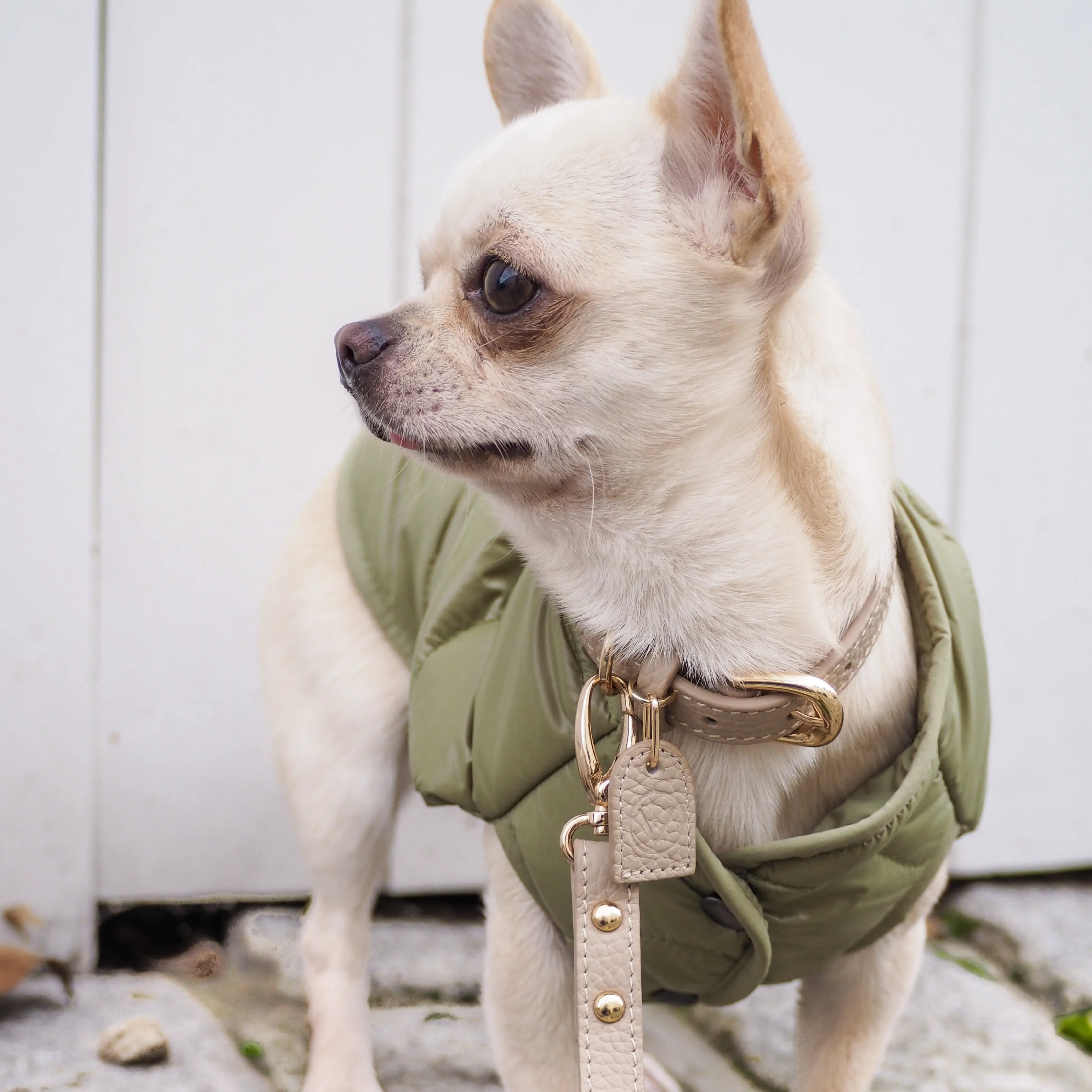 Sleeveless Bottom Up Jacket